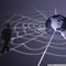 Грузим сервера и пьем информационным сообществом