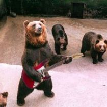 Золотой клык