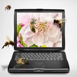 Пчелы устроили налет на магазин компьютерных игр 