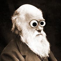 Чудеса эволюции. Правнучка Дарвина оказалась скандалисткой