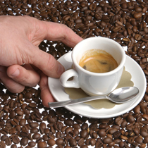 Ведущие производители кофе не знают, откуда он берется