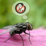 Жесть! Обаму спасли от мух… а мух от Обамы