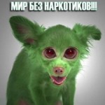 наркотики