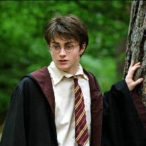 гарри поттер стоит у дерева