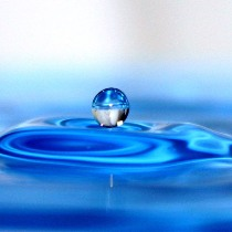 всемирный день водных ресурсов