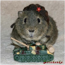 день танкиста