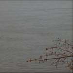 днепр