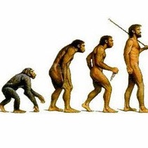 происхождение видов