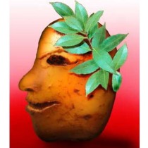 картошка