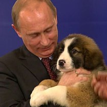 Над кличкой для новой собаки Путина думала вся Россия (ФОТО,ВИДЕО)