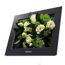 3D-телевидение невооруженным глазом. Toshiba приступило к продажам