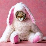 новый год