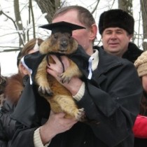сурок тимка