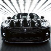 Jaguar готовится выпустить на волю нового хищника (ФОТО)