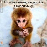 котоматрица