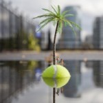 Миниатюрное искусство под открытым небом (ФОТО)