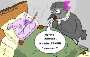 Политические мутации свиного гриппа