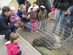 В Саржином Яру открылся контактный зоопарк
