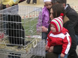 В Саржином Яру открылся контактный зоопарк