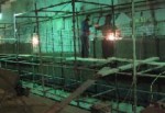 Инвестиционный мегафорум закончился футбольным состязанием руководства «Металлиста»