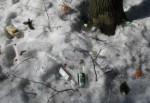 Фотоаргументы харьковского гольф-клуба в «войне» с местными жителями