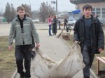 Школьники Ленинского района под музыку провели день метлы