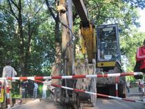 Бескорыстные любители природы защищают Лесопарк