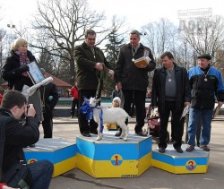 Первый чемпионат Украины по домино на центральной аллее парка Шевченко