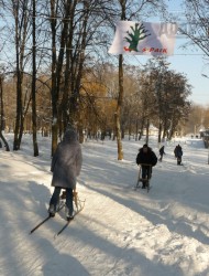 Соревнования по фигурному катанию на санях прошли в Харькове
