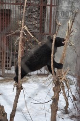 Харьковский зоопарк оживился в предвкушении весны