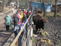 Беби-бум в Харьковском зоопарке. Животным хорошо, и они только и делают, что рожают