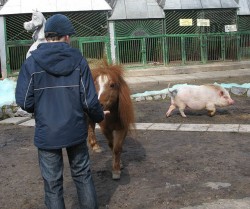 Беби-бум в Харьковском зоопарке. Животным хорошо, и они только и делают, что рожают