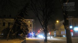 Дикая природа Харькова, или Наконец-то настоящая зима