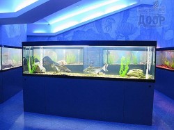 Запущена первая очередь океанариума Немо в Харькове. Диковинные пресноводные рыбы