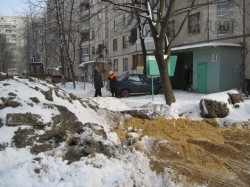 Специальная инспекция проверяет Харьков на наличие мусора и ям