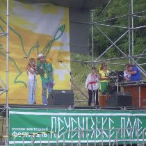 печенежское поле