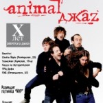 джаз,жара,клуб,концерт,Animal Джаz