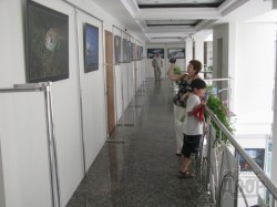 фотогалерея