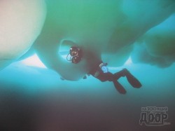 Открытие авторской фотовыставки Ольги Каменской «Байкал. Царство воды и льда»