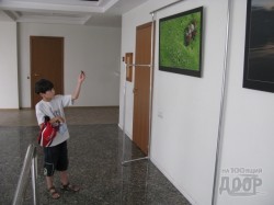фотогалерея