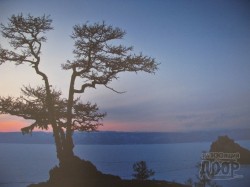 фотогалерея