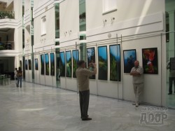 фотогалерея