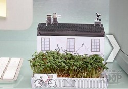 Миниатюрные зеленые дворики как часть интерьера