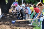 В Харькове проходит общегородской субботник