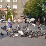 харьков жара