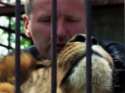 Украинский художник живет с беременной львицей