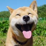 улыбка