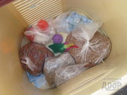 праздник животных