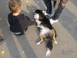 праздник животных