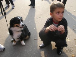 праздник животных